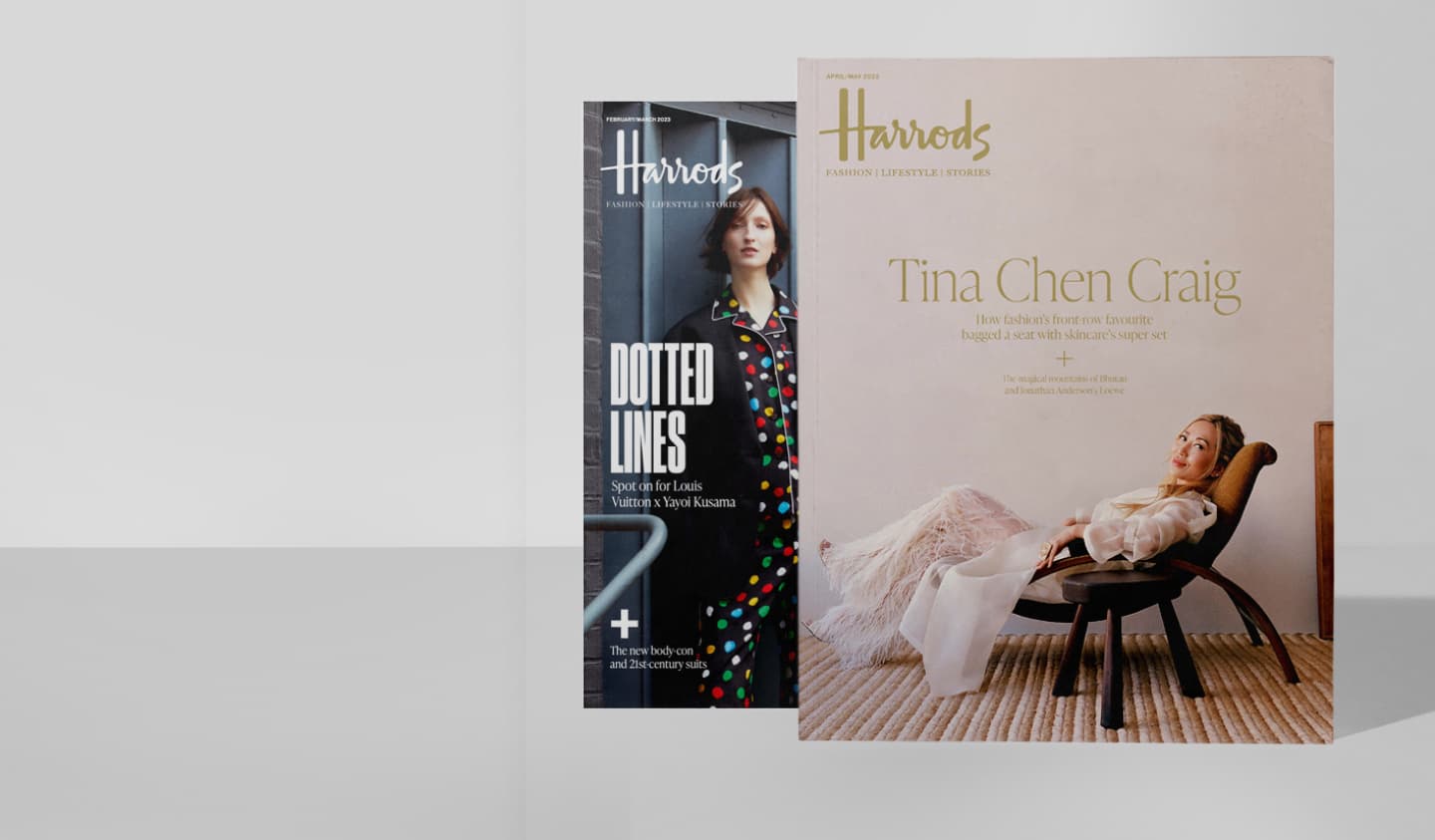 Header image for the Harrods case study, capturing the essence of luxury retail and brand excellence.